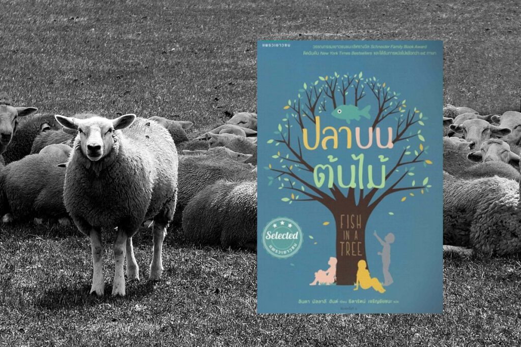 black sheep and book cover